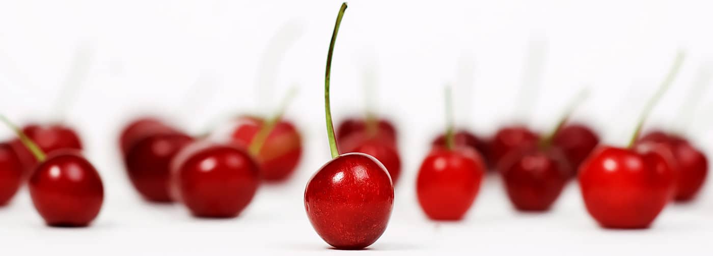 Cherries Diseases & Pests Crop Protection Crop Health